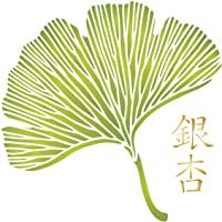 Plantilla de hojas de Gingko- 35-56 x 35-56 cm de largo- diseño de hojas orientales- asiáticas- chinas- hojas japonesas